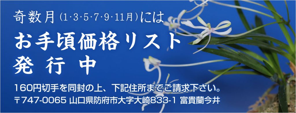 富貴蘭今井 | 富貴蘭の通信販売なら「信頼」と「実績」の富貴蘭今井